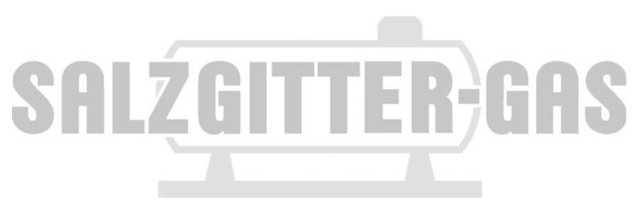 Logo Salzgitter Gas